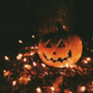 Meet your Posher, Eva